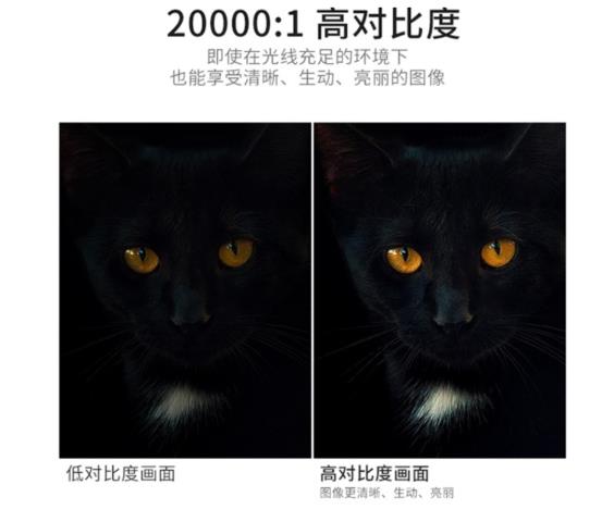 Screenshot_20220509_202259_com.jingdong.app.mall_edit_28891434677362.jpg